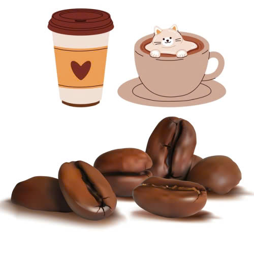 cat-mat-co-duoc-uong-cafe-khong-nhung-dieu-ban-can-biet