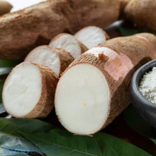 cat-mi-an-khoai-mi-duoc-khong-giai-dap-chi-tiet-va-loi-khuyen-huu-ich