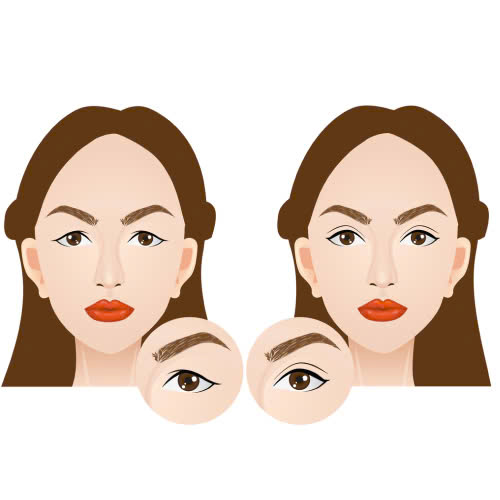 cat-mi-an-dau-hu-duoc-khong-giai-dap-chi-tiet-cho-qua-trinh-hoi-phuc