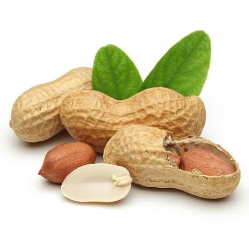 cat-mi-mat-an-dau-phong-duoc-khong-giai-dap-chi-tiet-tu-a-z