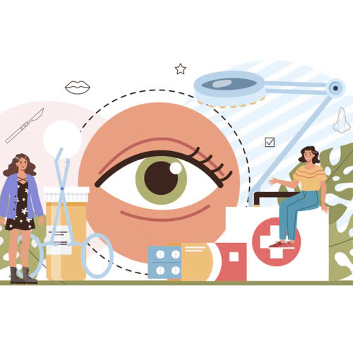 cay-mo-hoc-mat-bao-lau-thi-dep-giai-dap-chi-tiet-huong-dan-cham-soc