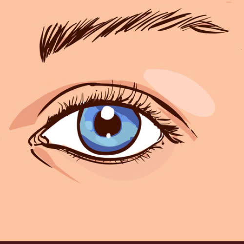 chi-phi-cay-mo-hoc-mat-gia-bao-nhieu-va-nhung-dieu-can-biet