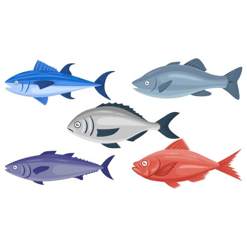 tiem-filler-an-ca-duoc-khong-kieng-bao-lau-la-tot