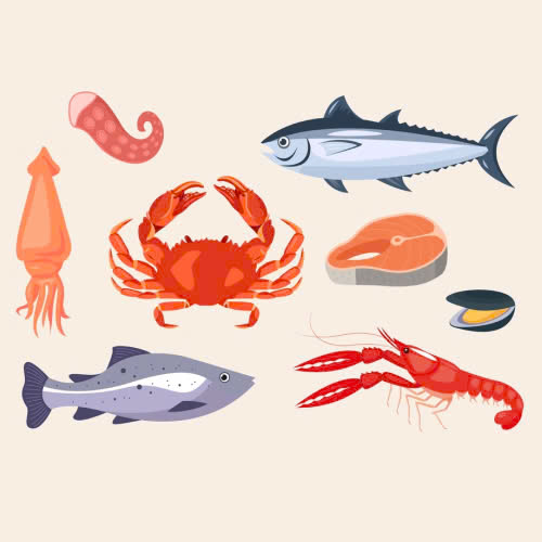 tiem-filler-an-hai-san-co-sao-khong-bat-mi-thoi-gian-kieng-chuan