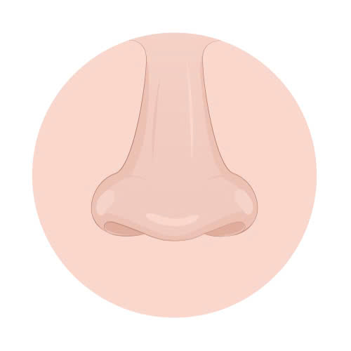 can-chinh-canh-mui-gia-bao-nhieu-lieu-co-dang-de-dau-tu