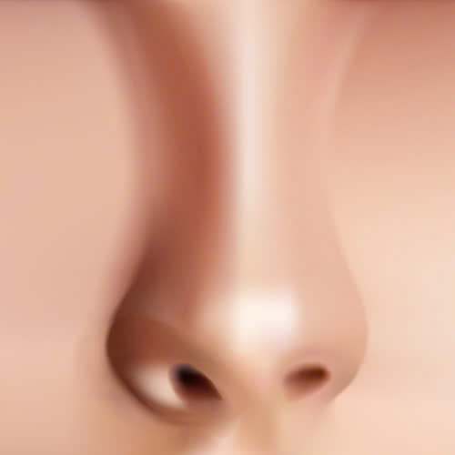 sua-nen-canh-mui-bi-lech-nguyen-nhan-giai-phap-va-nhung-dieu-can-biet-truoc-khi-thuc-hien