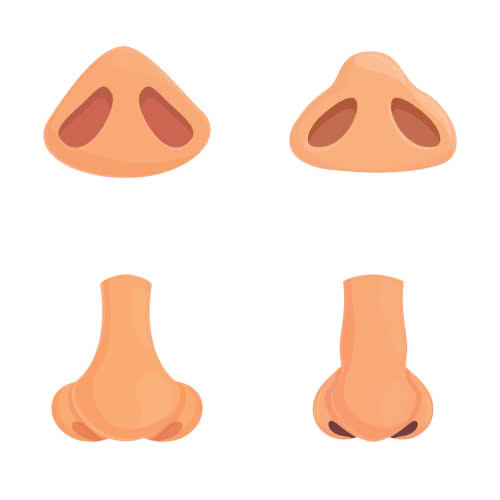 cach-cham-soc-sau-can-chinh-canh-mui-huong-dan-chi-tiet-giup-mui-nhanh-lanh-dep-tu-nhien