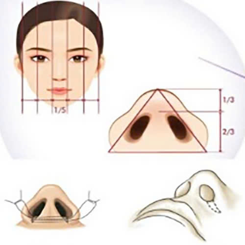 top-4-cach-lam-canh-mui-can-doi-giup-guong-mat-hai-hoa-ua-nhin-hon