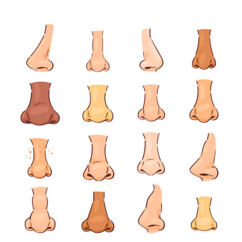 top-4-cach-lam-canh-mui-can-doi-giup-guong-mat-hai-hoa-ua-nhin-hon