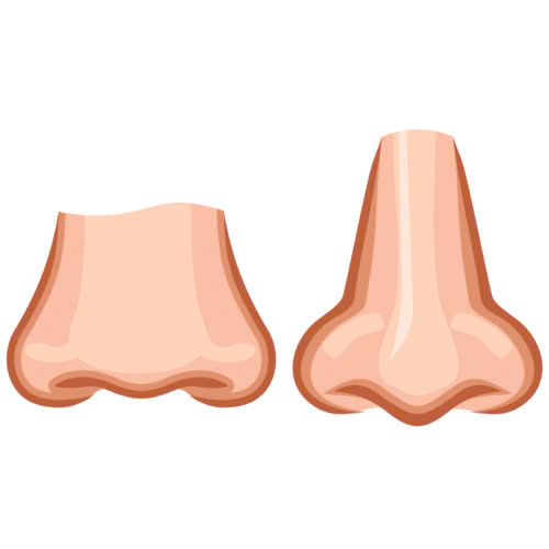 co-nen-can-chinh-canh-mui-khong-bat-mi-cac-phuong-phap-khong-phau-thuat-an-toan-tai-nha