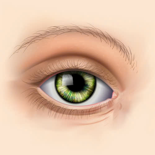 mo-goc-mat-trong-o-dau-uy-tin-5-tieu-chi-vang-giup-ban-chon-dung-noi-lam-dep-an-toan