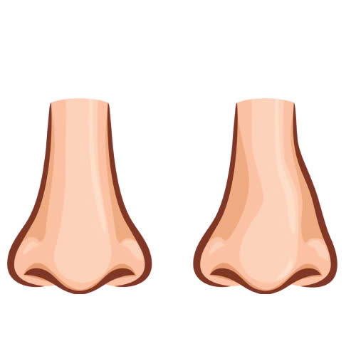 tiem-filler-mui-bi-lech-nguyen-nhan-dau-hieu-va-cach-xu-ly-an-toan