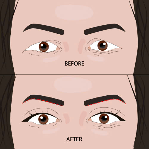 cat-mat-2-mi-full-bo-da-trung-gia-bao-nhieu-giai-dap-chi-tiet-tu-a-z