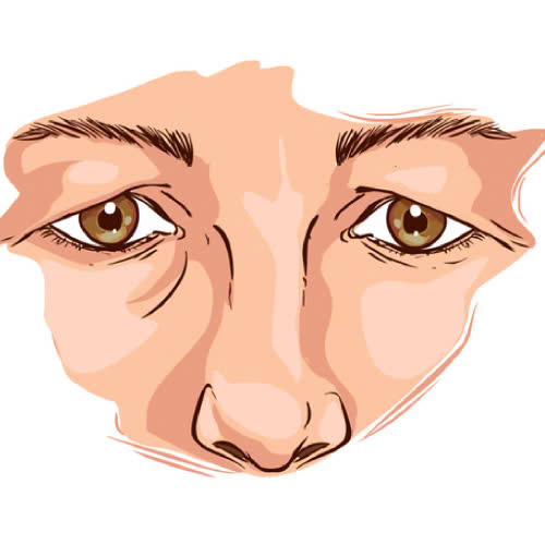 cat-mat-2-mi-full-bo-da-trung-gia-bao-nhieu-giai-dap-chi-tiet-tu-a-z