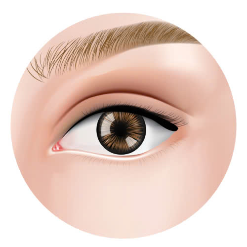 cat-mi-full-co-de-lai-seo-khong-va-cach-khac-phuc-hieu-qua