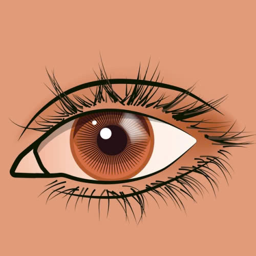 mat-trung-dong-co-giu-duoc-lau-khong-cung-tim-hieu-nhung-yeu-to-anh-huong-den-do-ben-cua-mat-trung-dong