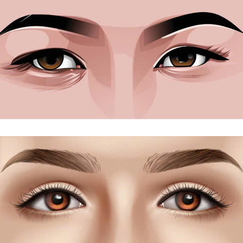 so-sanh-mat-trung-dong-va-mat-a-dong-khac-nhau-gi-phan-tich-chi-tiet-tu-goc-nhin-tham-my