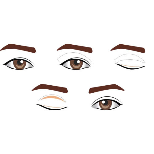 so-sanh-mat-trung-dong-va-mat-a-dong-khac-nhau-gi-phan-tich-chi-tiet-tu-goc-nhin-tham-my