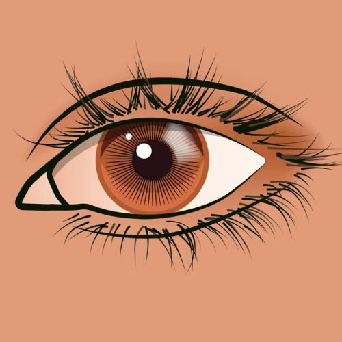 tao-mat-sau-hut-kieu-trung-dong-la-gi-nhung-ai-nen-thuc-hien-phuong-phap-nay-de-tang-suc-hut-cho-guong-mat