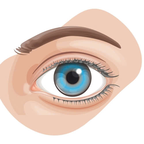 tao-mat-to-tron-kieu-trung-hoa-bi-quyet-so-huu-doi-mat-cuon-hut-quyen-ru-tu-nhien