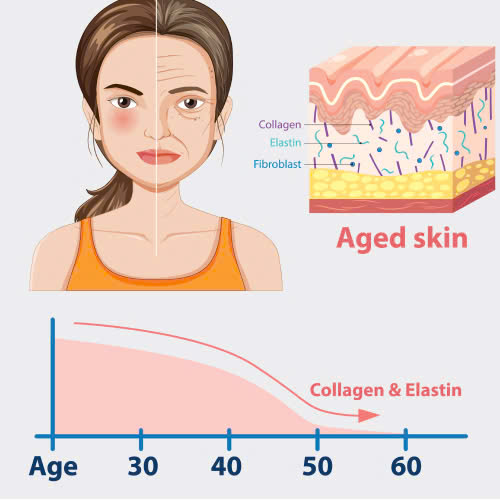 cay-mo-hoc-mat-cho-nguoi-lon-tuoi-bi-quyet-giup-tre-hoa-doi-mat-rang-ro-an-toan-va-tu-nhien
