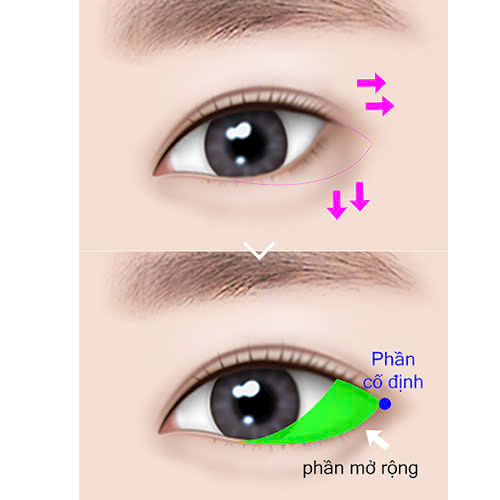 ha-xech-mat-la-gi-tim-hieu-chi-tiet-phuong-phap-giup-anh-nhin-diu-dang-tu-nhien-can-doi