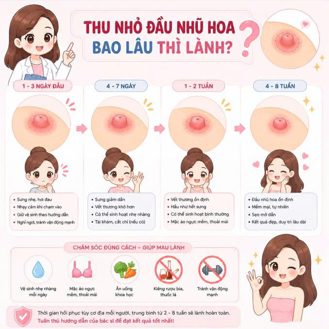 thu-nho-dau-nhu-hoa-bao-lau-thi-lanh-giai-dap-chi-tiet-tu-a-z-cac-thac-mac-duoc-quan-tam-nhieu