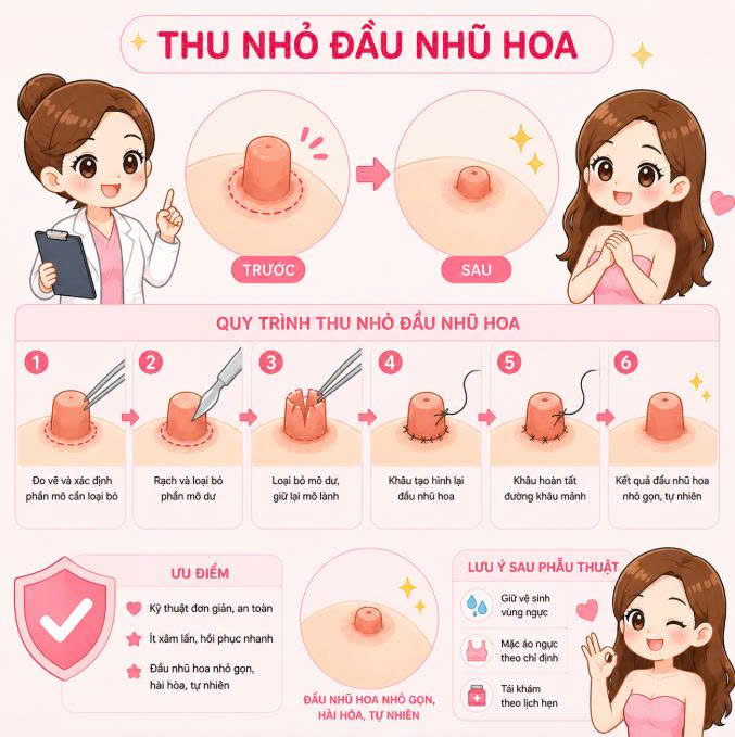 thu-nho-dau-nhu-hoa-hoi-phuc-bao-lau-cung-tim-hieu-va-phan-tich-chi-tiet-tung-giai-doan-hoi-phuc